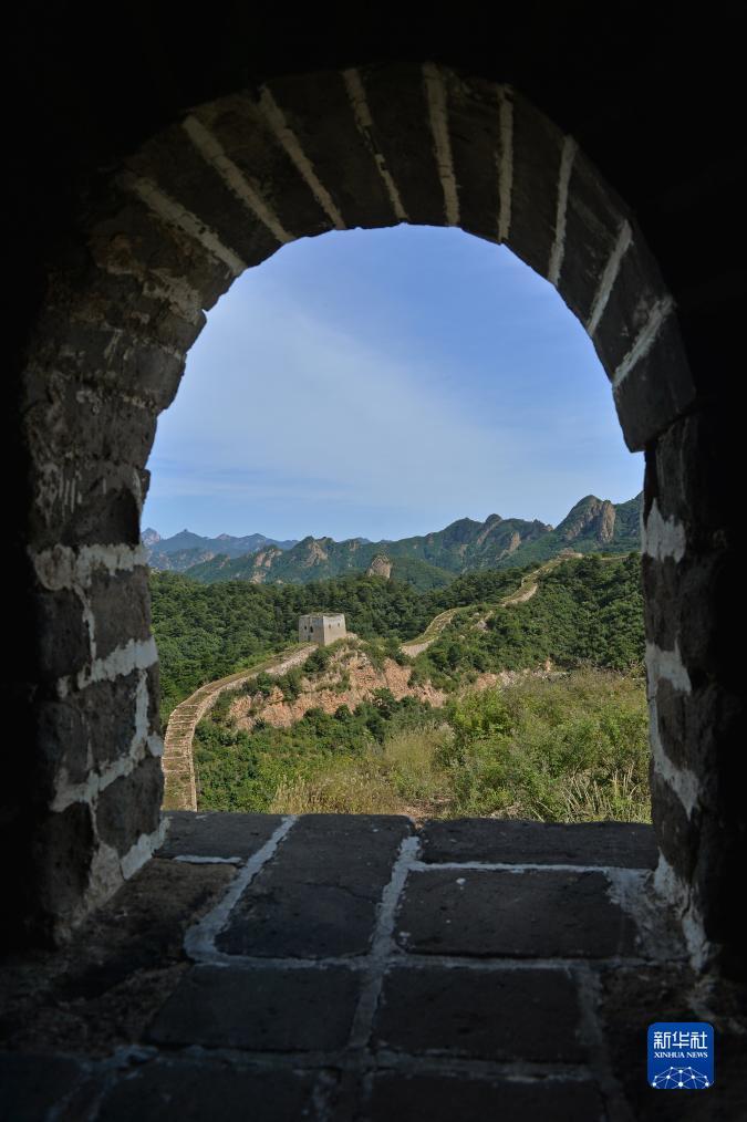 大宝注册送10·88